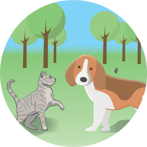 Moxiclear Flea Prevention