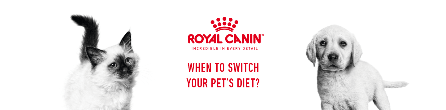Royal Canin Pet Diet Transition