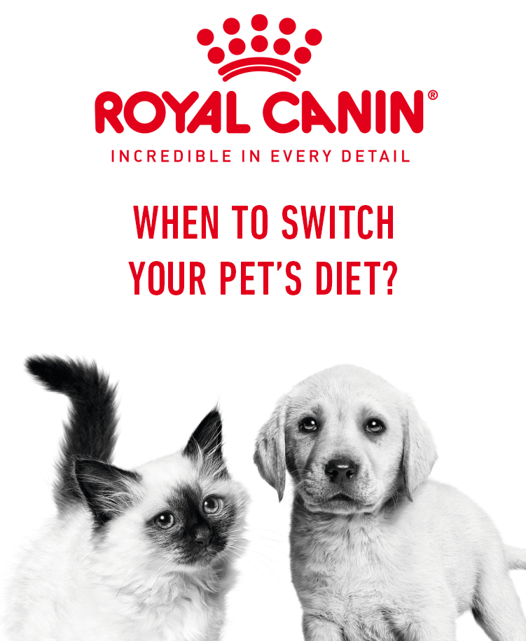 Royal Canin Pet Diet Transition