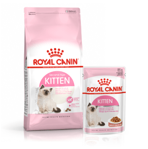 Kitten Nutrition