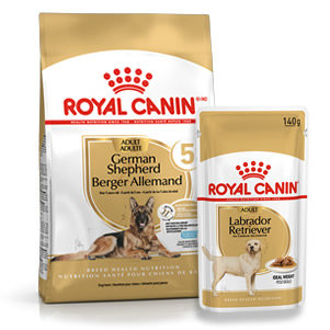 Canine Breed Health Nutrition