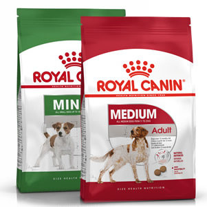 Canine Size Health Nutrition