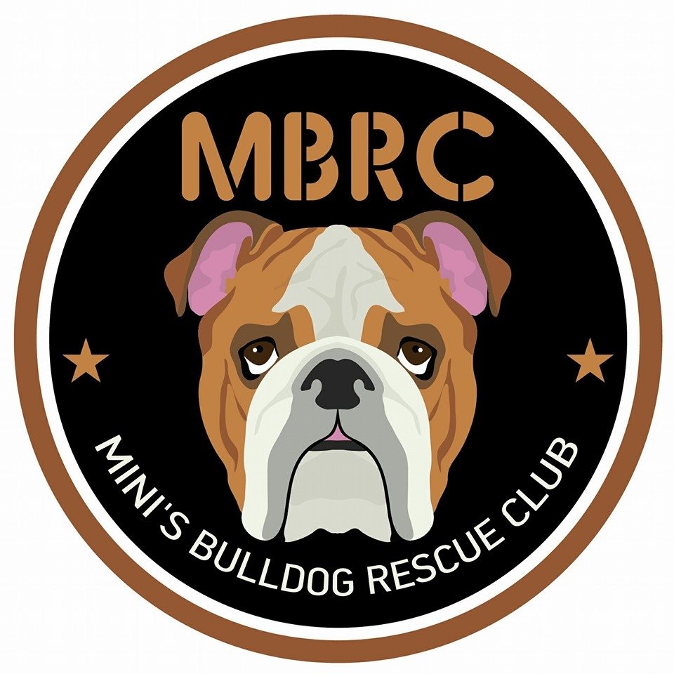 Mini’s Bulldog Rescue Club VIC