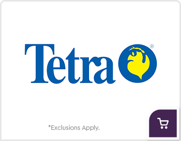 tetra
