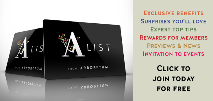 A-List