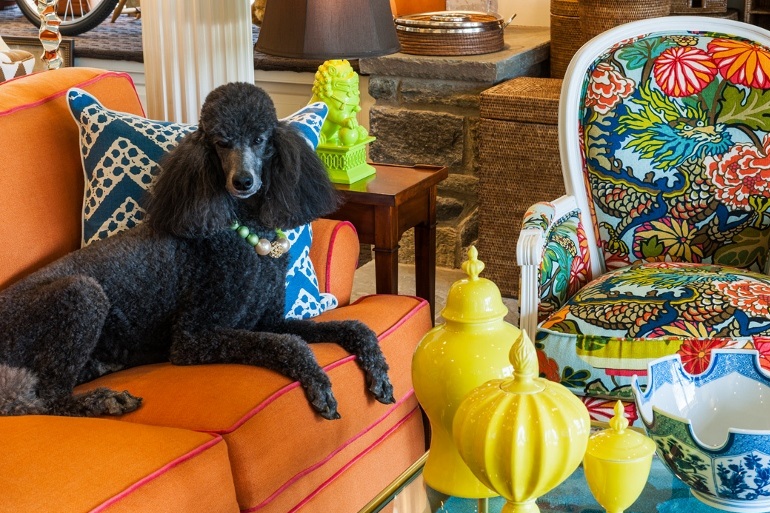 Wayne & Philadelphia, PA Home & Office Furniture & Accessories Little