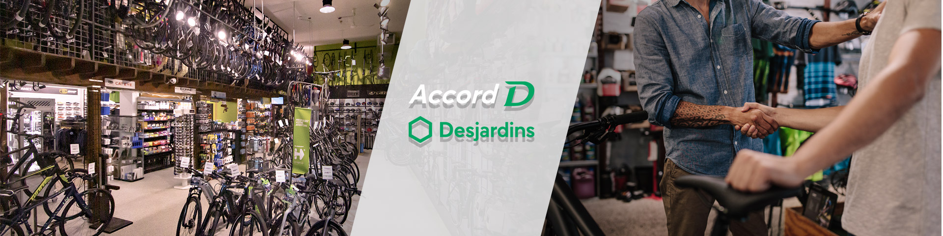 Accord D