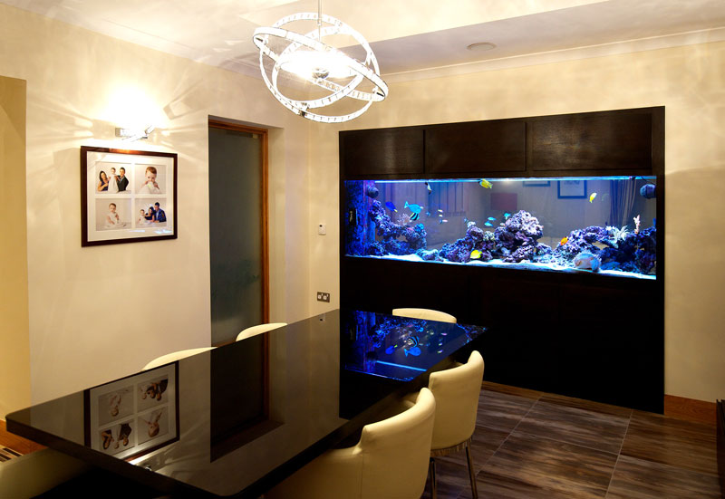  Custom  Built  Aquariums  Seahorse Aquariums  Ltd