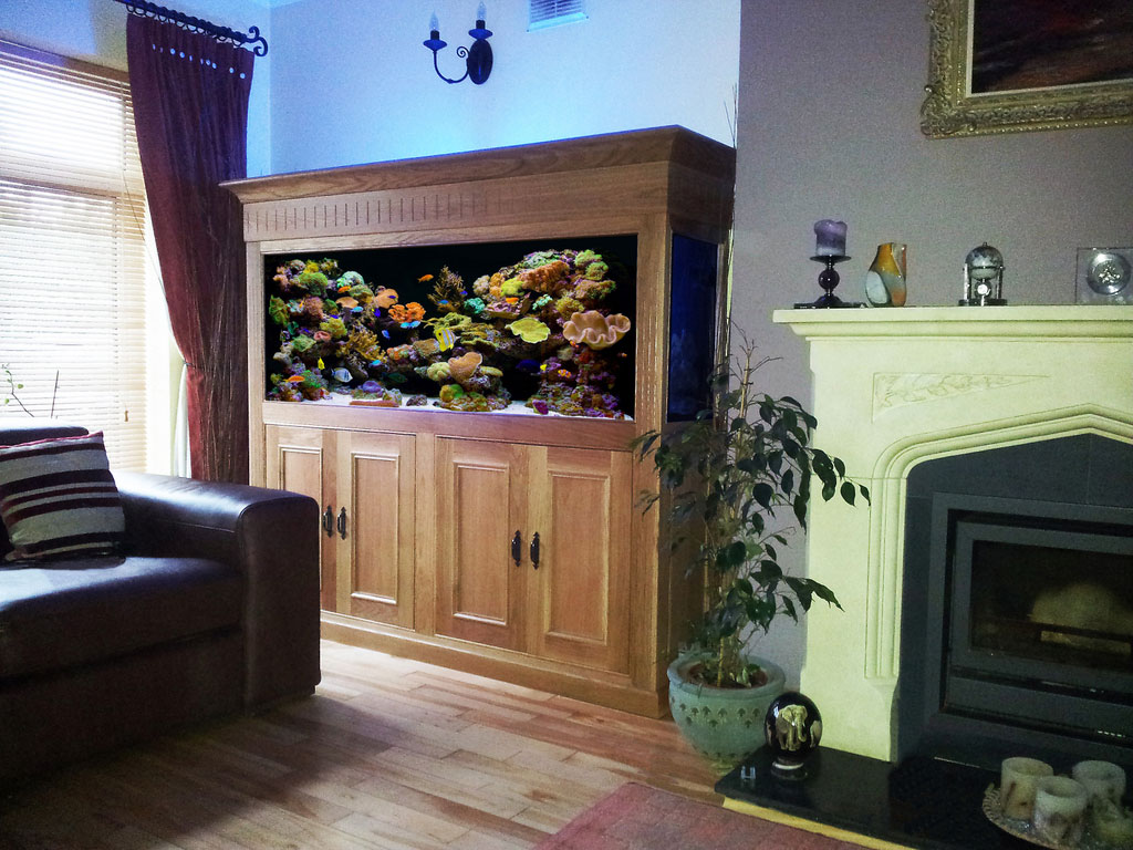 Custom Built Aquariums - KelsoNew