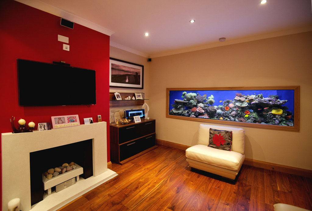 Custom Built Aquariums - Loungeshotwallsplit