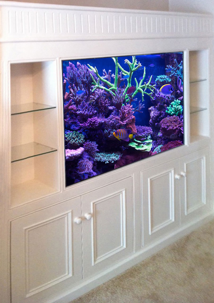 custom aquariums