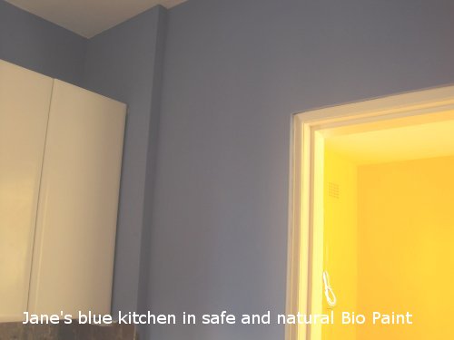 Jane's blue kitchen painted in natural Bio Paint.