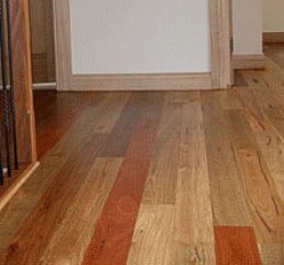A timber floor highlighting the beauty of the natural grain and colour of timber.