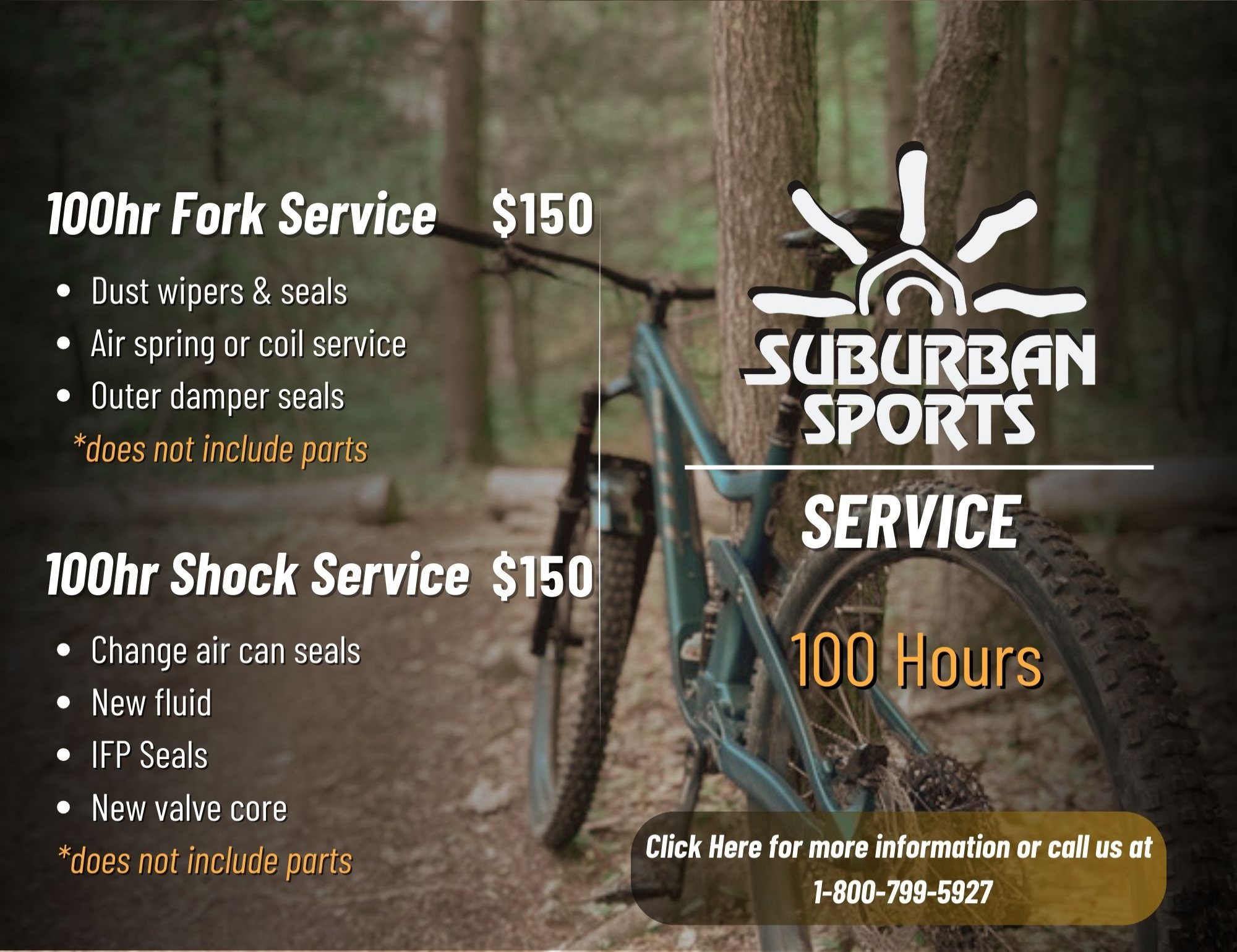 Suburban Suspension Fork & Shock Service: 100 hour service - $150