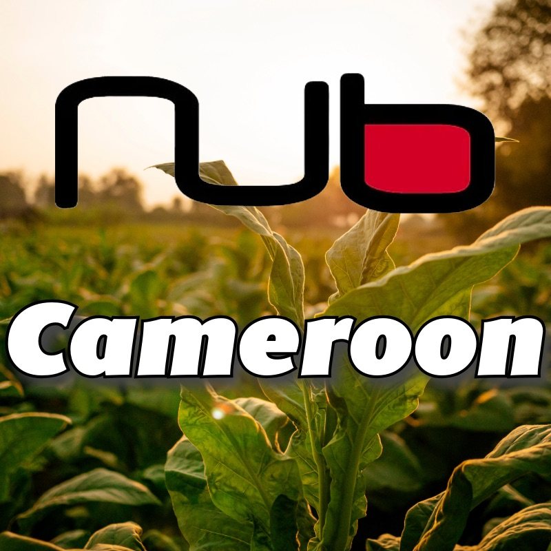 Nub Cameroon 358 Cigars 5-pack - Slippery Rock Cigars