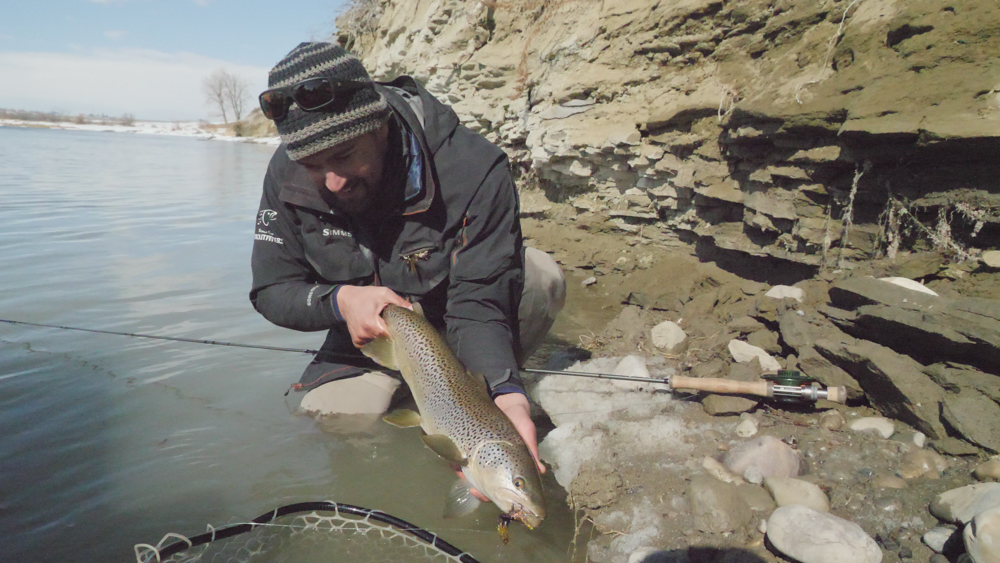 Bow River Hatch Chart