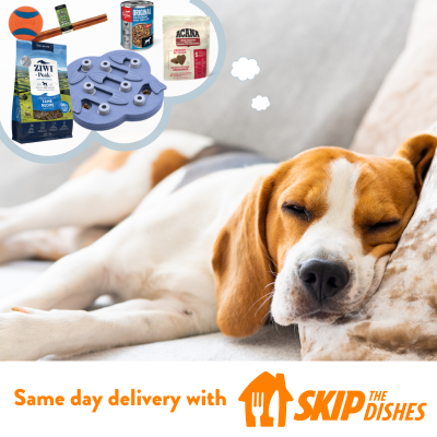 Korna Pet Skip The Dishes Fast Pet Product Delivery