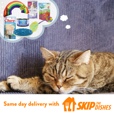 Korna Pet Skip The Dishes Fast Pet Product Delivery