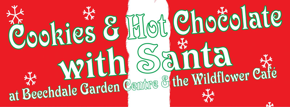 Cookies and Hot Chocolate with Santa at Beechdale