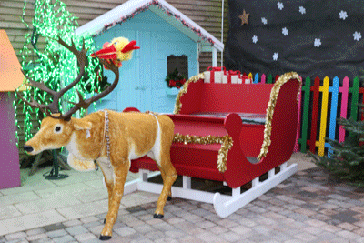 Santa Sleigh at Beechdale