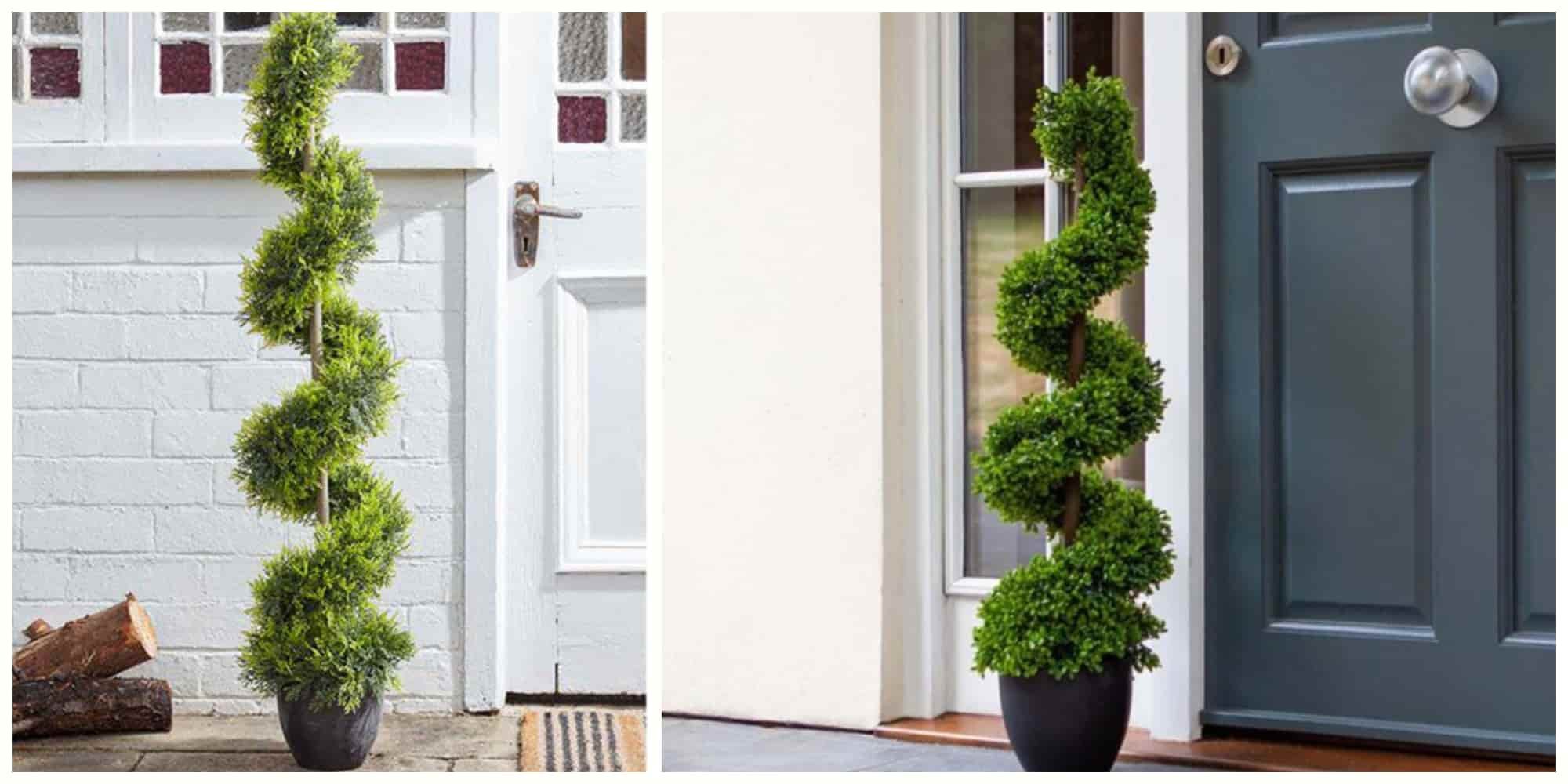 garden budget ideas topiary tree