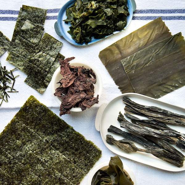 Seaweed