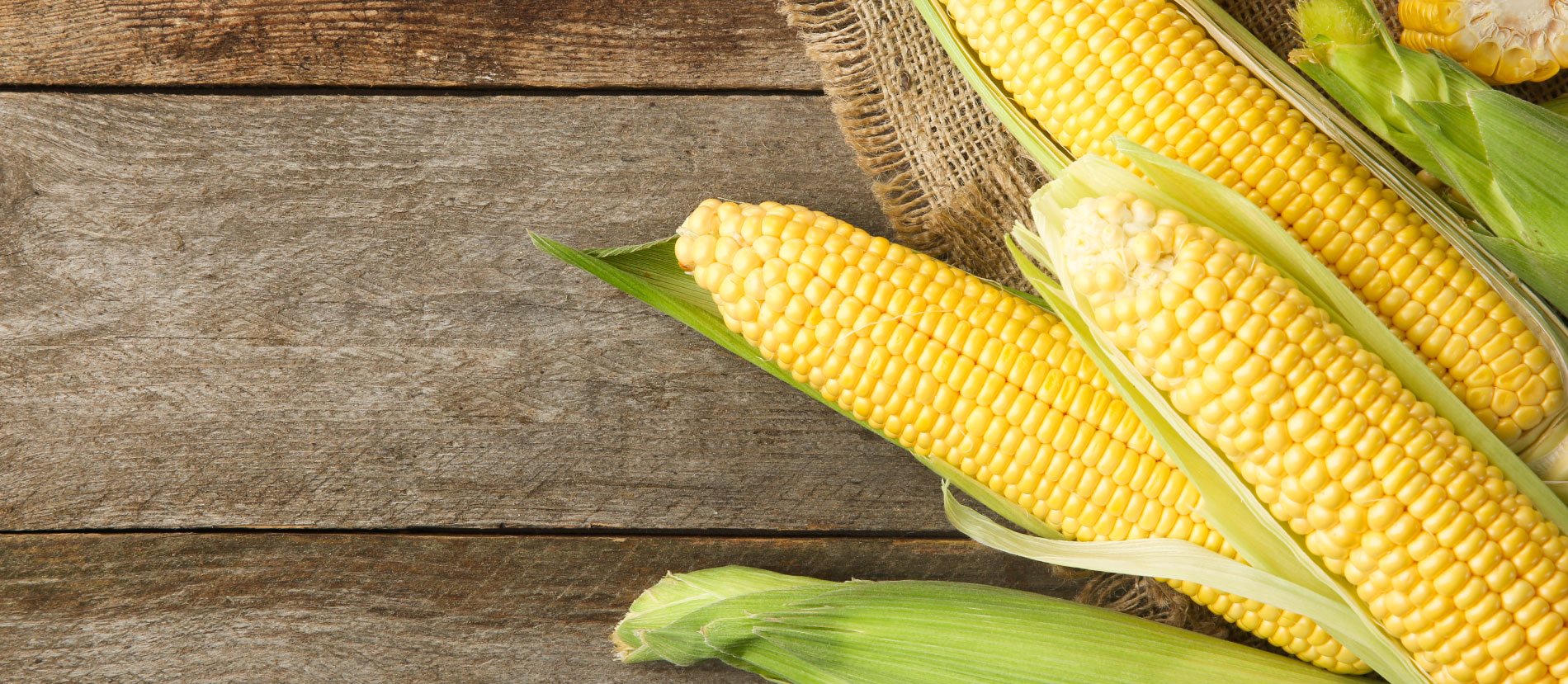 HarvesTime Foods 