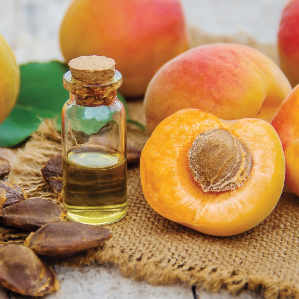 The History of Apricots and Why They’re Called Yellow Plums