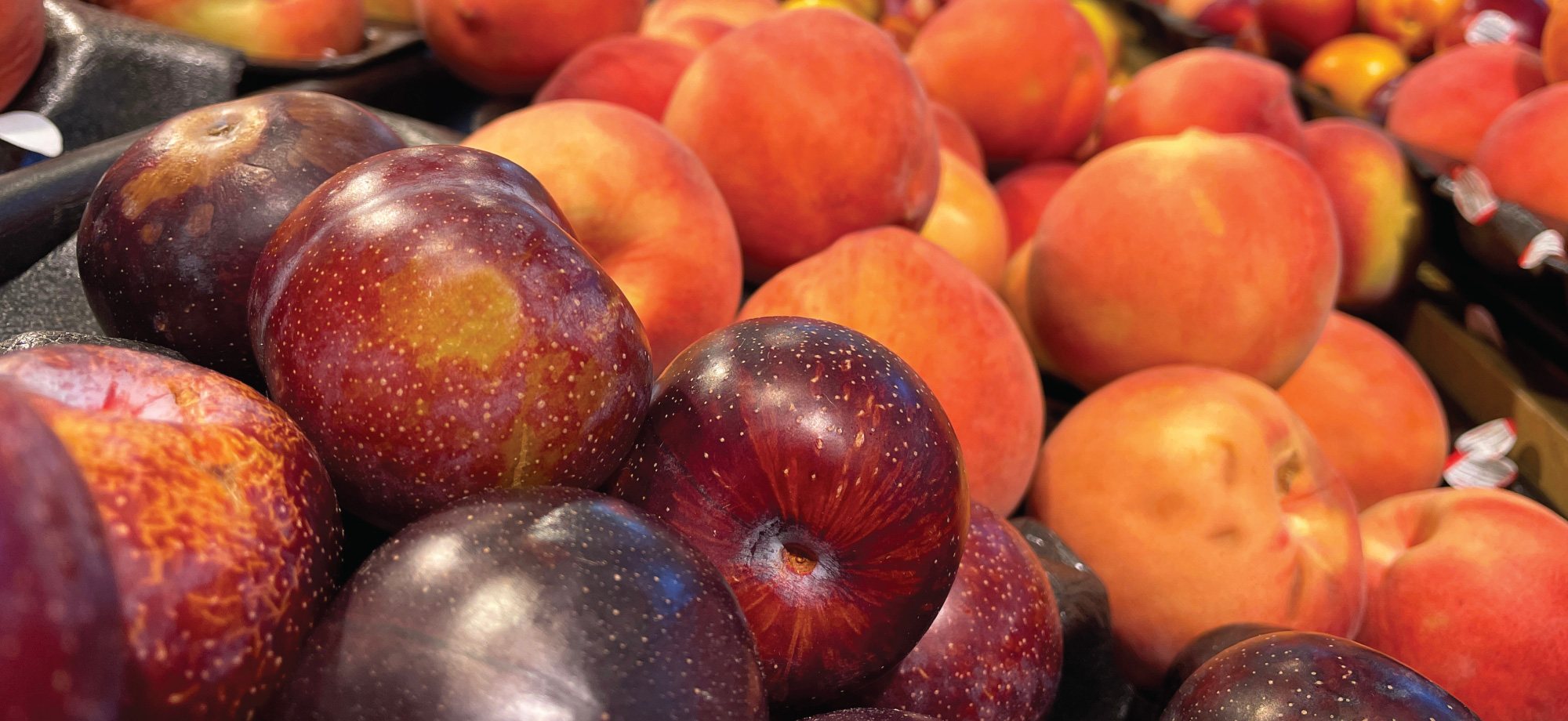 HarvesTime Foods 