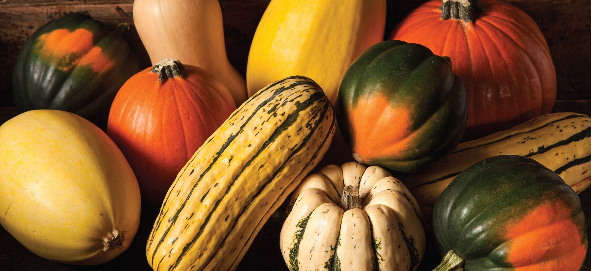 HarvesTime Foods 