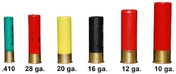 Shotshell