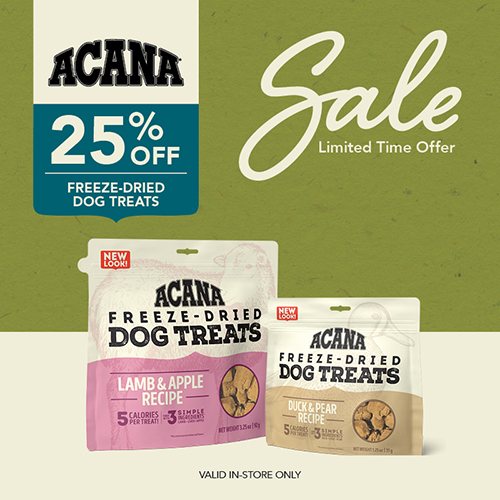 Landing Page Pet Pals Discount Pet Supplies
