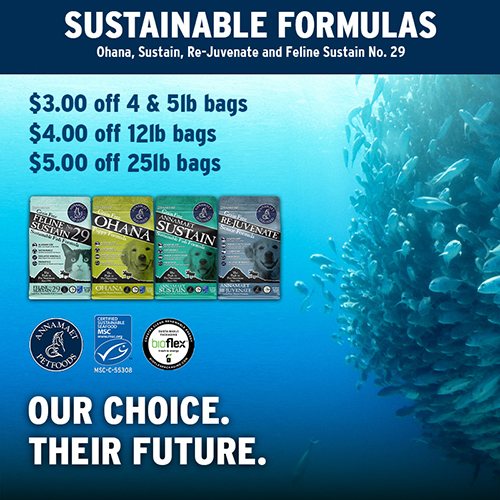 Landing Page Pet Pals Discount Pet Supplies