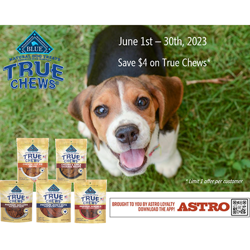 Landing Page Pet Pals Discount Pet Supplies