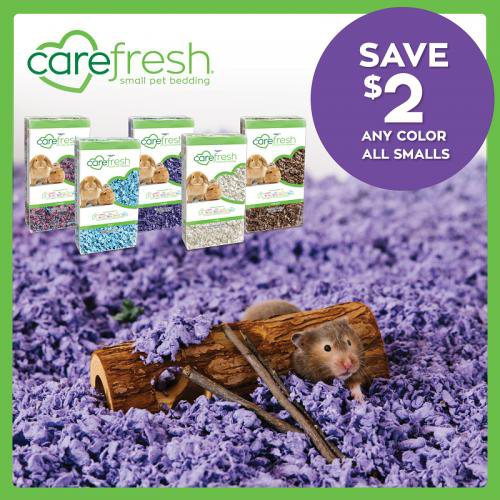 Landing Page Pet Pals Discount Pet Supplies
