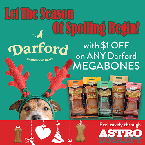 Landing Page Pet Pals Discount Pet Supplies