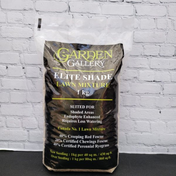 Grass Seed