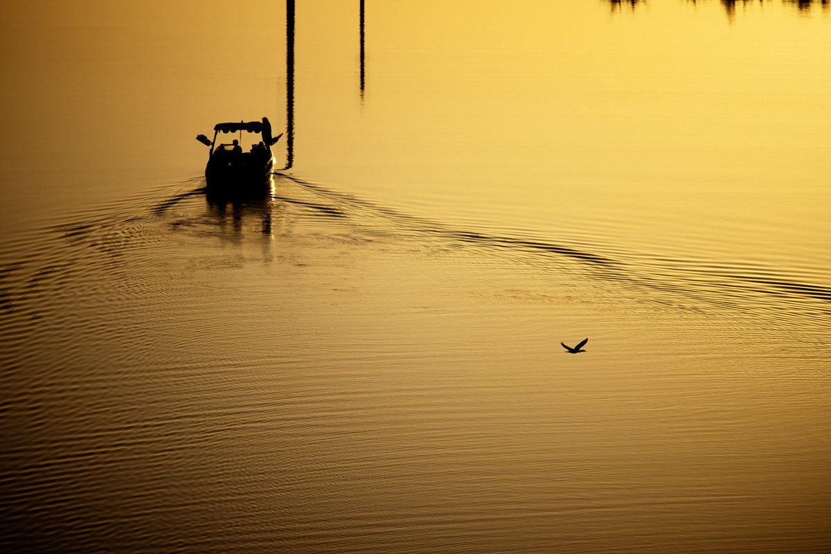 Canada’s 1 Waterski, Wakesurf, Wetsuit & Pickleball Pro Shop Shuswap Ski and Board