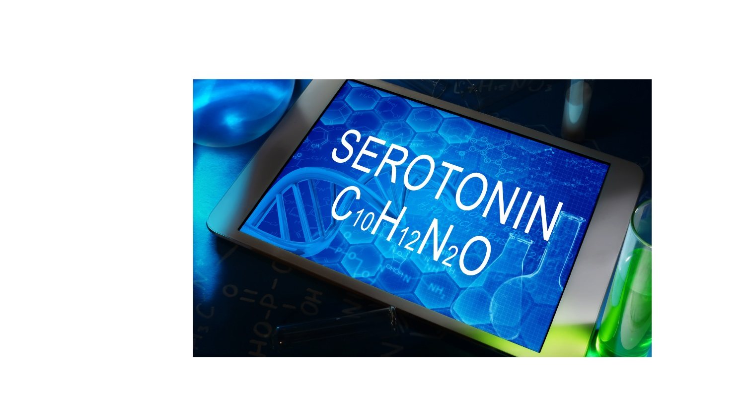 Should you take 5HTP Capsules? Grampian Health Store